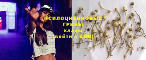 spice Алзамай