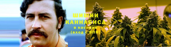 2c-b Абаза