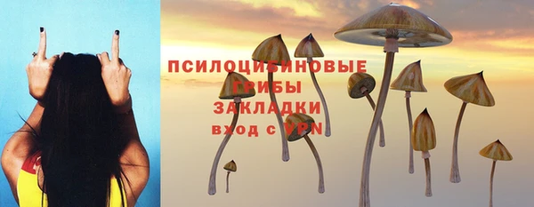 PSILOCYBIN Покровск