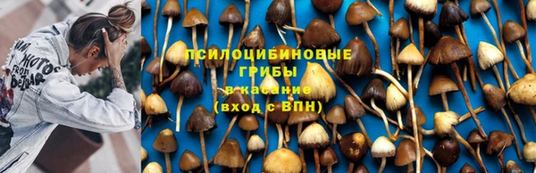 2c-b Абаза