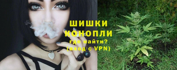 spice Алзамай