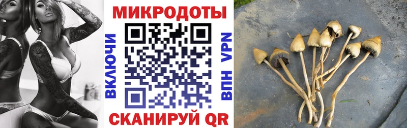 Псилоцибиновые грибы ЛСД Инсар